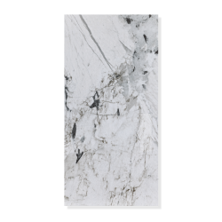 Стеновая панель АЛЬТА СЛЭБ SPC Кварцвинил 300х600х2,4мм Мраморная Феерия | Этна